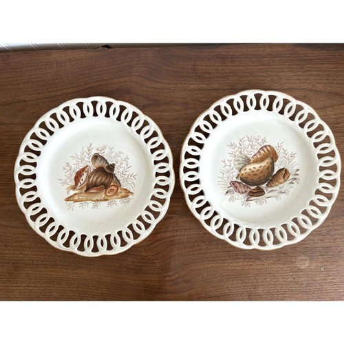 Vintage seashell decorative - seashell,