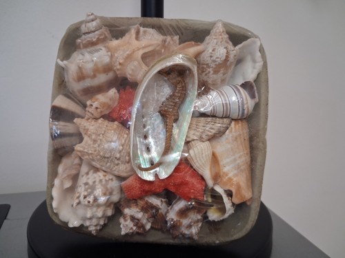 Vintage seashells package - vintage, package-