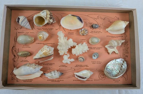 Vintage box set sea - box, of