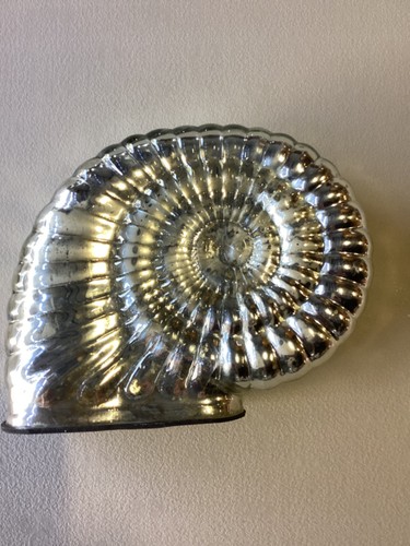 Vintage seashell x 6 - vintage, 8”