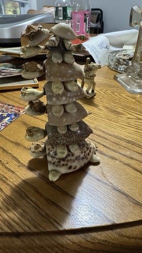 Vintage seashell stacked - seashell,