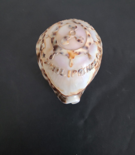 Vintage carved seashell - vintage,