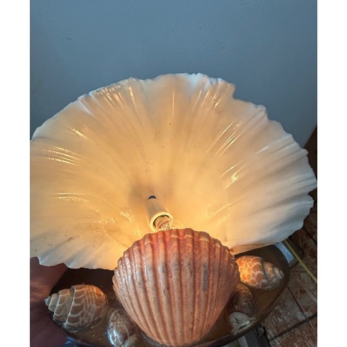 Vintage seashell accent lamp - seashell,