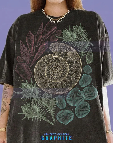Vintage seashell ammonite - vintage,