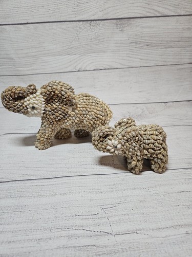Vintage sea shell - sea,