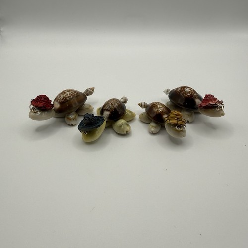 Vintage seashell turtle family - seashell,