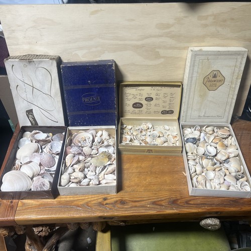 Lot vintage assorted seashells - assorted,